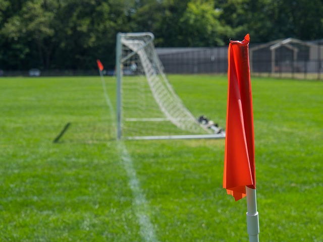 这一新兴运 这一新兴运