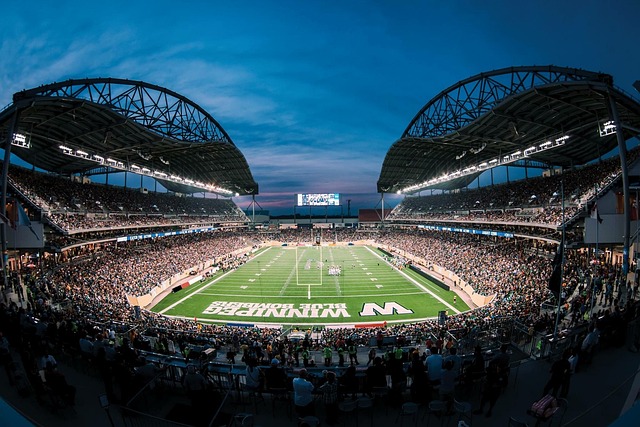 往往失去了 往往失去了