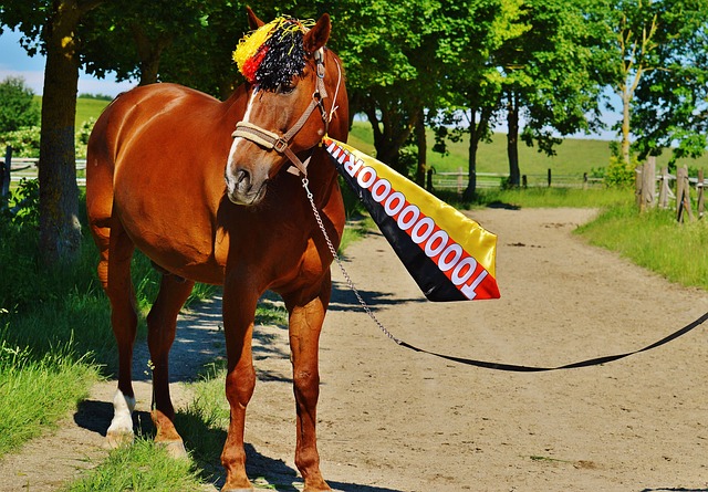 尔的外线投 尔的外线投
