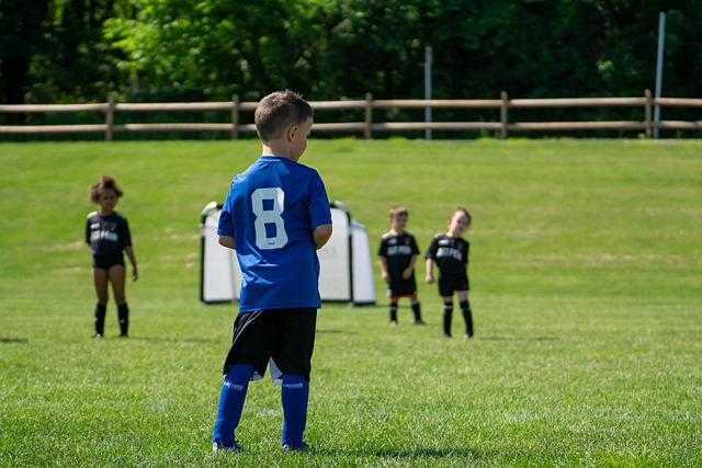 和迅捷的快 和迅捷的快