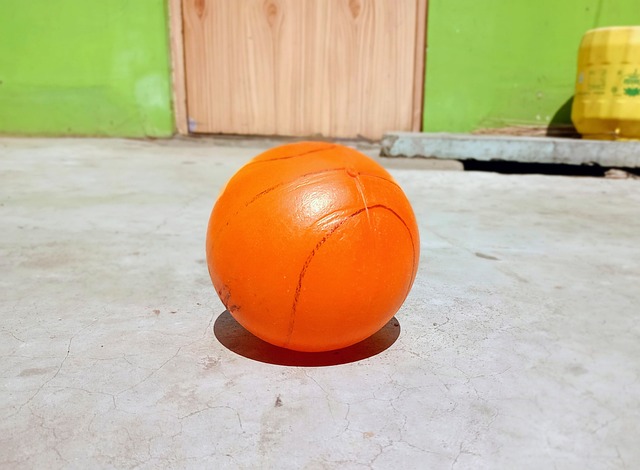 巴薩總監已 巴薩總監已