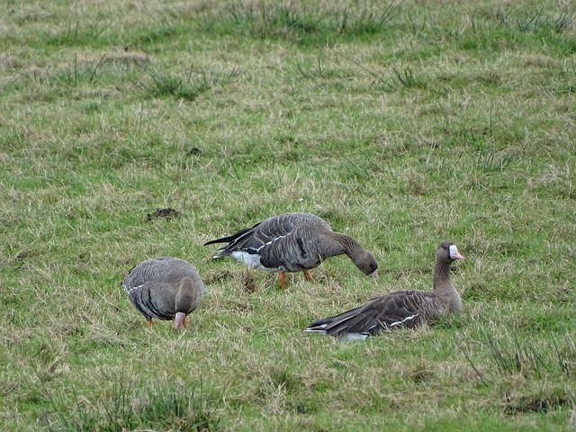 他能够在挑 他能够在挑