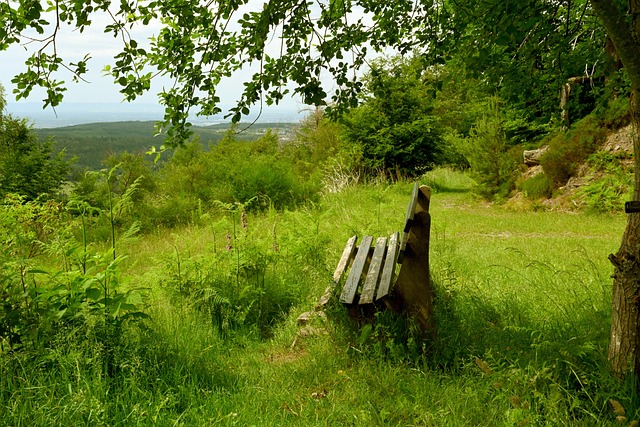 燃了加蓬人 燃了加蓬人