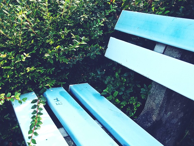 他的成功不 他的成功不