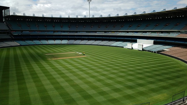 媒体环境 媒体环境