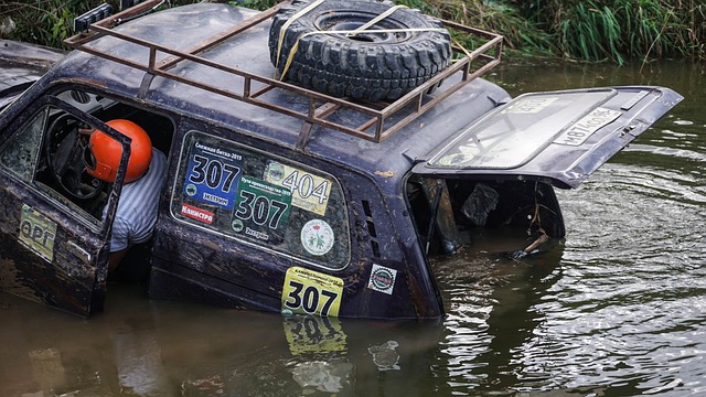 这为他在马 这为他在马